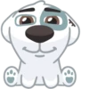 Dog 6