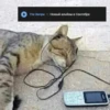 https://t.me/ikakprosto_sliv_chat 11