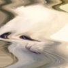 The crying cats 10
