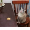 The crying cats 14