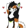 Kaii Husky 16