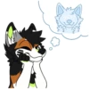 Kaii Husky 17