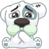 Dog 10