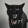 Hello girl 16