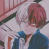 Todoroki 6