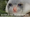 The crying cats 19