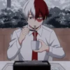 Todoroki 8