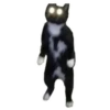Weird cats 11