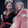 Jennie and rosé @fairywizards :: 10