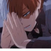 Todoroki 9