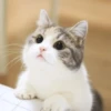 MeowMika — 16