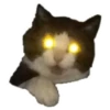 Weird cats 19