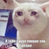 The crying cats 22