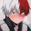 Todoroki 10