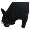 Weird cats 20