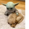 baby yoda 25