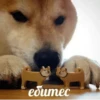 ебитес