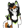 Kaii Husky 24