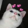 MeowMika — 23