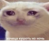The crying cats 23