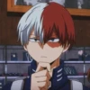 Todoroki 11
