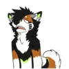 Kaii Husky 27