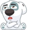 Dog 25