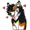 Kaii Husky 30