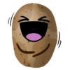 Potato 7