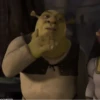 #shrek meme «🐸 by 5