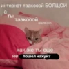 No please no — 10