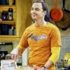 The Big Bang Theory 6