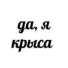 дая крыса
