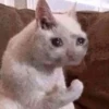 No please no — 15