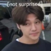 Stray kiss 2 by 15