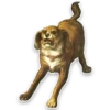 Does_not_simple 9