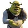 #shrek meme «🐸 by 11