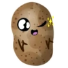 Potato 12