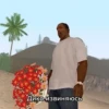GTA 13