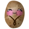 Potato 13