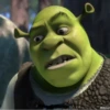 #shrek meme «🐸 by 13
