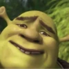 #shrek meme «🐸 by 14
