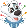 Dog 13