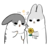 Ultimate Machiko Rabbit Pack #1 14