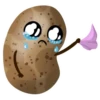 Potato 15
