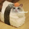 The crying cat 12