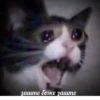The crying cat 13