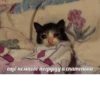 The crying cat 14