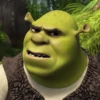 #shrek meme «🐸 by 16