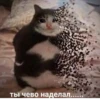 The crying cat 15